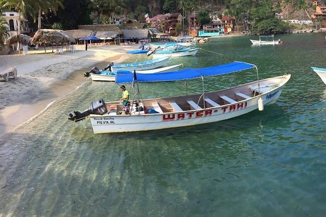Private Los Arcos Snorkel and Beach Tour From Puerto Vallarta - Tour Experience and Reviews