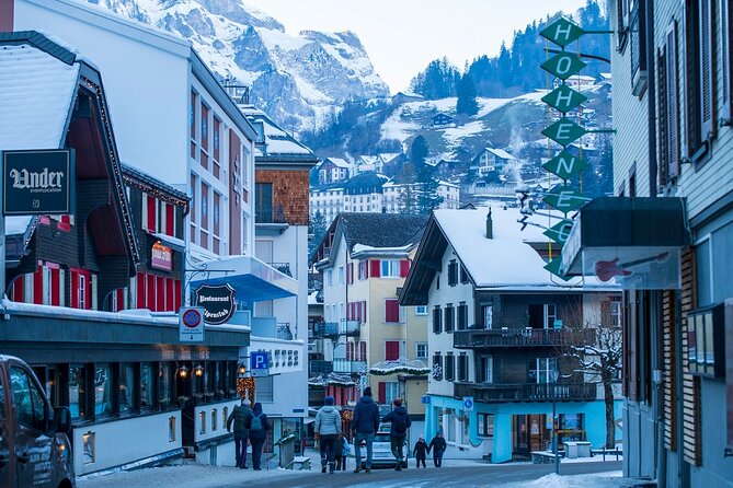 Private Lucerne Tour From Zurich - Inclusions and Exclusions