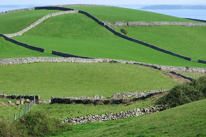 Private Luxury Tour of Newgrange and The Hill of Tara - Additional Tour Details