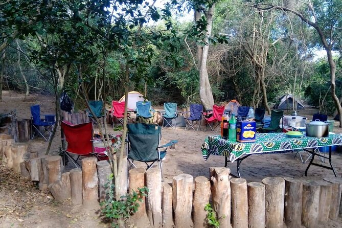 Private Maputo National Park Safari Day Tour With Pickup - Accessibility Information