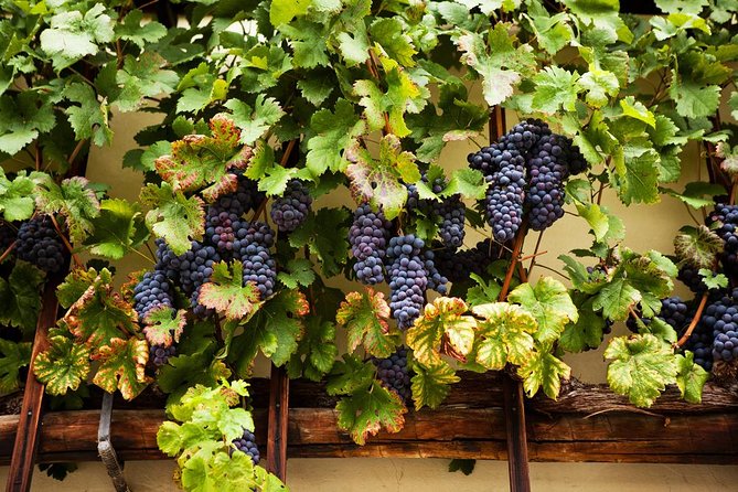Private Maribor, Ptuj & Wine Road From Ljubljana - Pick-up and Confirmation Details