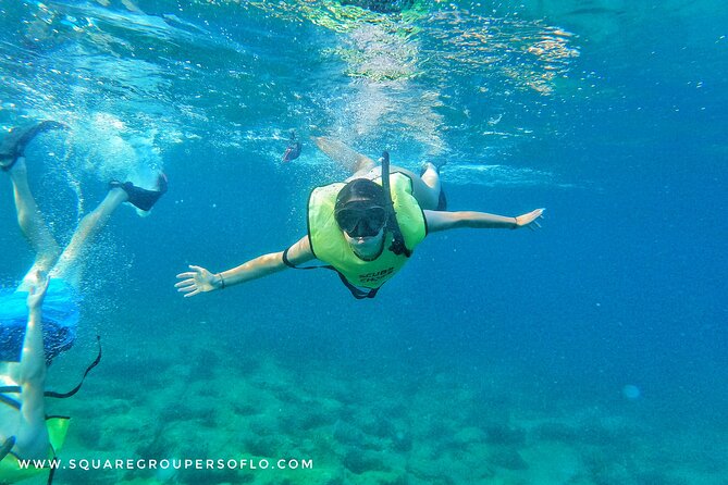 Private MegaSUP & Snorkel Tour of Fort Lauderdale Reefs - Provider and Reviews