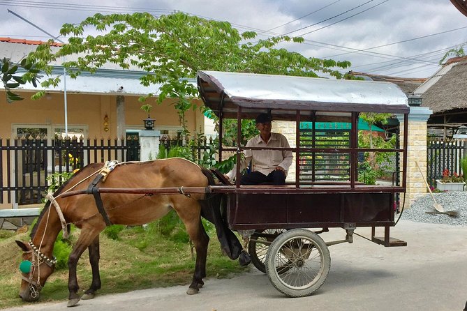 Private Mekong Delta Tour - My Tho - Ben Tre From Cruise Port - Accessibility Considerations