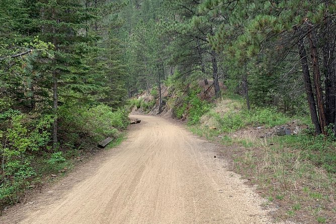Private Mickelson Trail Bicycling Tour - Guides and Expertise