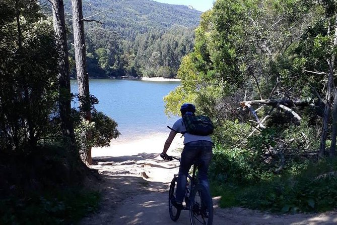 Private Mountain Biking Adventure in Sintra Cascais Park - Experiencing the Biking Adventure