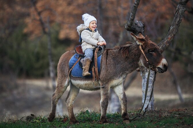 Private Mules Tour From Chefchaouen - Booking Details