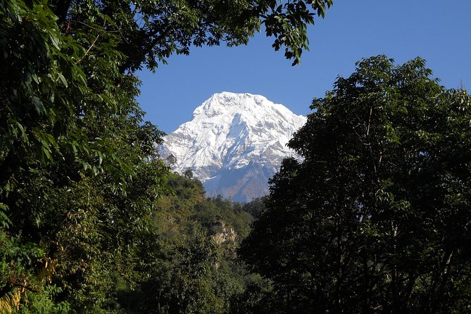 Private Multi Day Nepal Poon Hill Trekking Tour - Meeting and Pickup Details