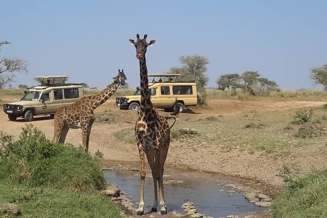 Private Multi Day Safari Tour in Tanzania - Transportation and Accessibility