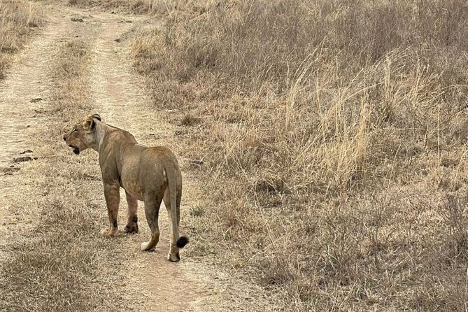 Private Nairobi National Park Day Tour - Booking Information