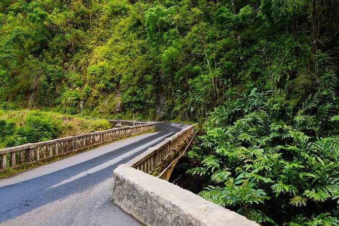 Private Native Tour of the Road to Hana With Cultural Lunch Show - Inclusions and Amenities