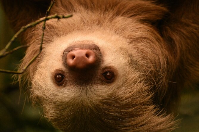 Private Natural History Walk in Monteverde - Booking Information