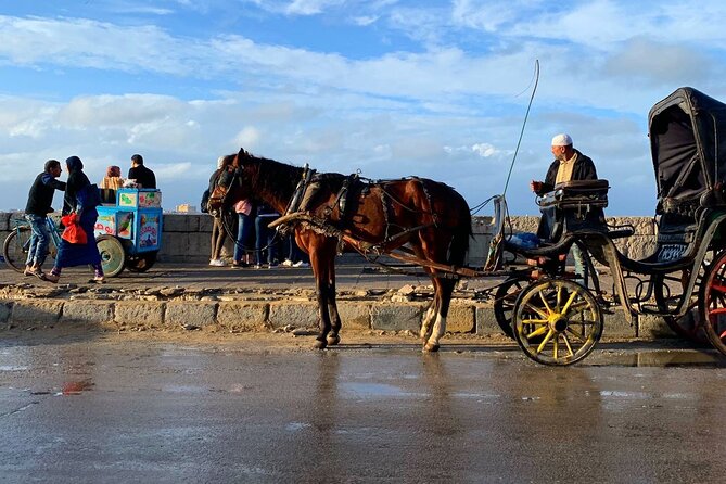 Private Night Tour In Alexandria By Horse Carriage Ride And Free Walking Tour - Exploring Alexandria by Night