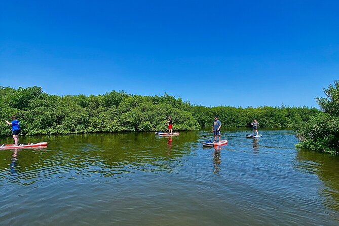Private Paddle Board Adventure - Safety Considerations