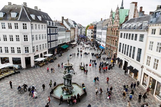Private Panoramic Tour of Copenhagen - Booking Information
