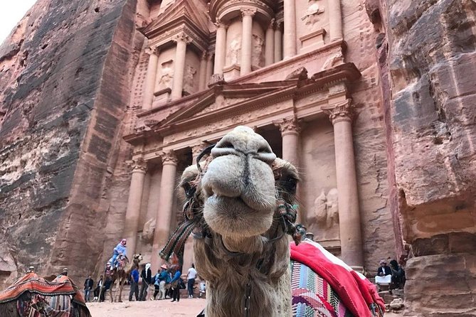 Private Petra Full-Day Trip From Aqaba City - Exploring Petra