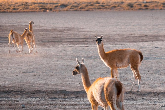Private Photography Tours - Destination Highlights