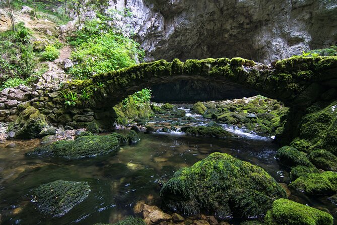 Private Postojna Cave & Predjama Castle Tour From Ljubljana - Host Responses and Improvements