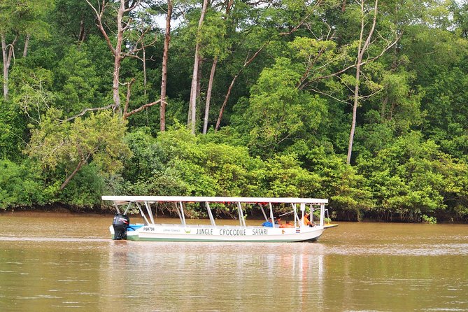 Private Puntarenas Shore Excursion: Tarcoles River Boat Tour at the Jungle - Mangrove Forests and Botanic Garden