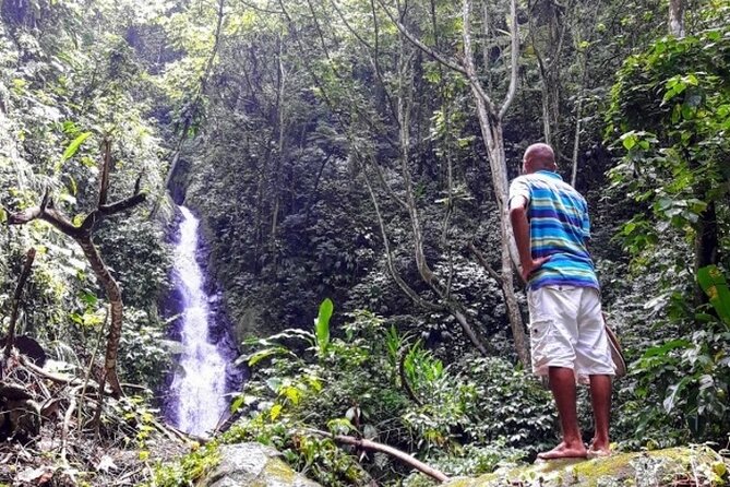 Private "Sail & Hike" Tour of Grenada - Health and Accessibility