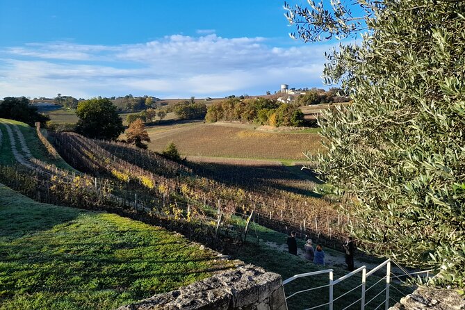Private Saint Emilion Tour With Wine Tasting - Tour Logistics Details