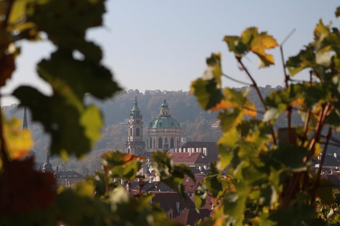 Private Scenic Transfer From Salzburg to Prague With 4h of Sightseeing - Customer Reviews and Ratings