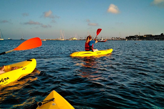 Private Sea Kayaking in Cascais Bay, Lisbon: Glide & Explore! - Equipment and Safety Gear