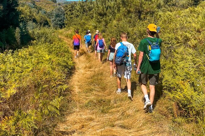 Private Secret Waterfall Hiking With Dinner - Availability