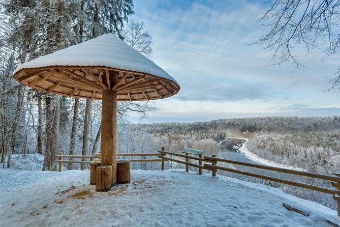 Private Sightseeing Tour in Sigulda - Customer Reviews and Feedback