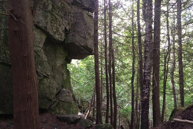 Private Singhampton Caves Hiking Tour, Collingwood/Blue Mountain - Booking Information