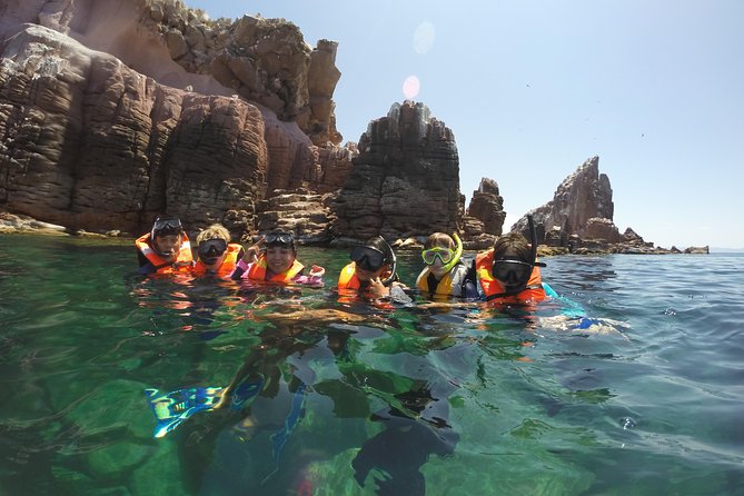 Private Snorkeling Tour in Cabo San Lucas - Traveler Reviews and Recommendations