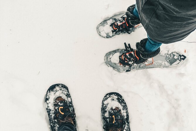 Private Snowshoeing Adventure From Badger Pass to Dewey Point - Health and Accessibility