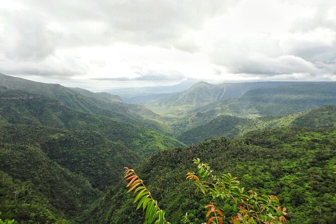 Private Southwest Tour With Local Lunch & Rum Tasting - Comfortable Transportation and Flexibility