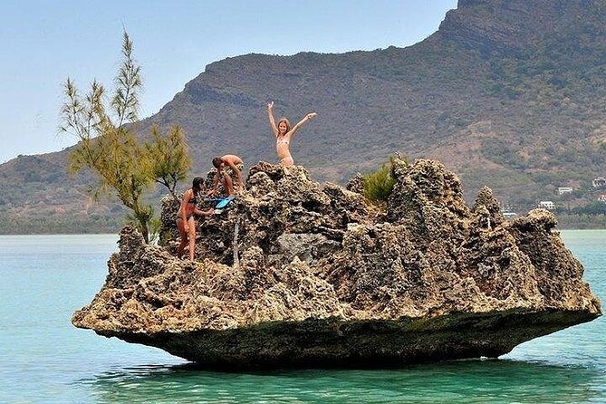 Private Speed Boat Tour and Dolphin Encounter at Ile Aux Benitier - Dietary Accommodations