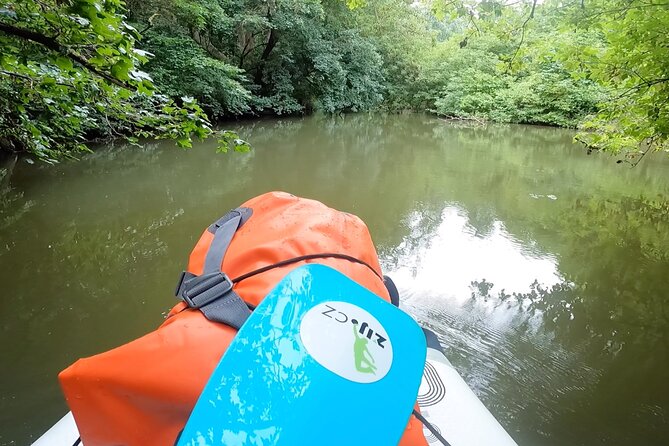 Private Stand Up Paddleboarding Trip on Dyje River - Capturing the Memorable Moments