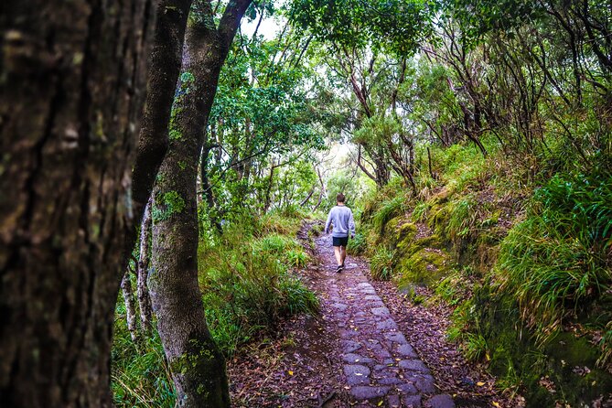 Private Sunrise Pico Do Areeiro Half Day With Easy Levada Walk - Additional Information
