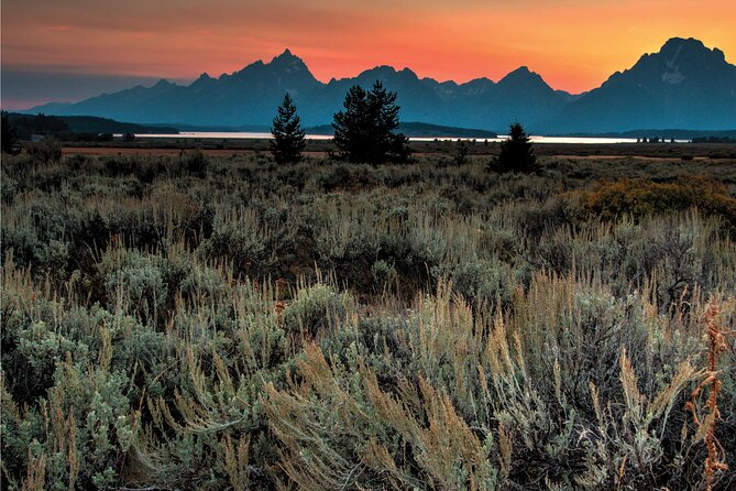 Private Sunset Wildlife Dinner Safari From Jackson WY - Things To Known