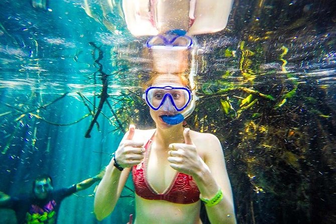 Private SUP & Snorkel Tour To Casa Cenote & Our Favorite Tacos :) - Accessibility and Requirements