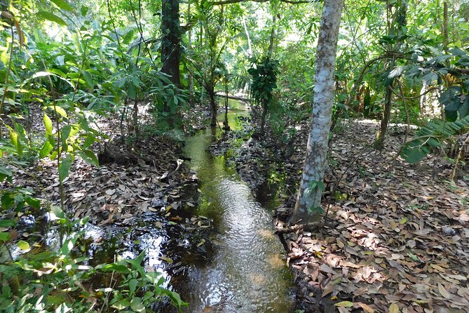 Private to Tayrona Park, Cañaveral Sector, Reefs, Arenilla and Cabo San Juan - Highlights of Tayrona Park