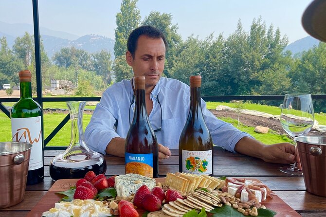Private Tour at Maturana Wines and VIK Winery With Lunch - Transportation and Pickup Details