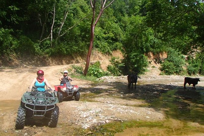 Private Tour: ATV SIERRA MADRE - Inclusions and Exclusions
