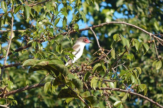 Private Tour: Birdwatching From Cancun - Customer Reviews