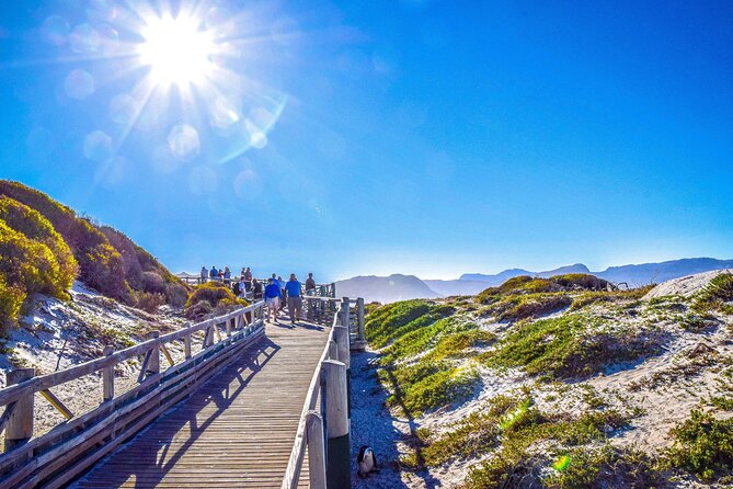 Private Tour: Cape of Good Hope, Cape Point and Boulders Beach - Boulders Beach Penguins