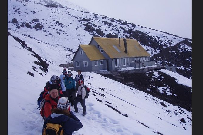 Private Tour Cotopaxi National Park, Hike to 4800 Meters - Views of Laguna De Limpiopungo