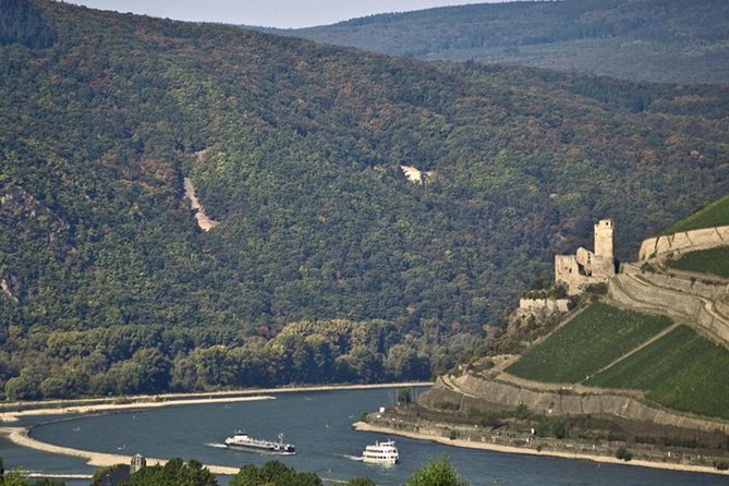 Private Tour: Customizable Rhine Valley Day Trip From Frankfurt - Highlights of the Rhine Valley