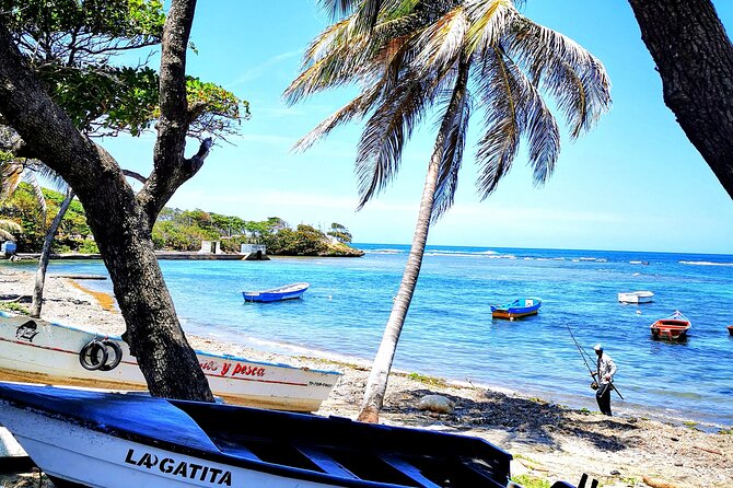 Private Tour: Damajagua Waterfalls + Puerto Plata City Tour - Tour Schedule and Accessibility