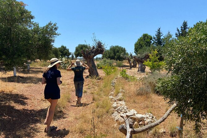Private Tour: Discover the Secret World of Olives in Afantou - Reviews and Feedback