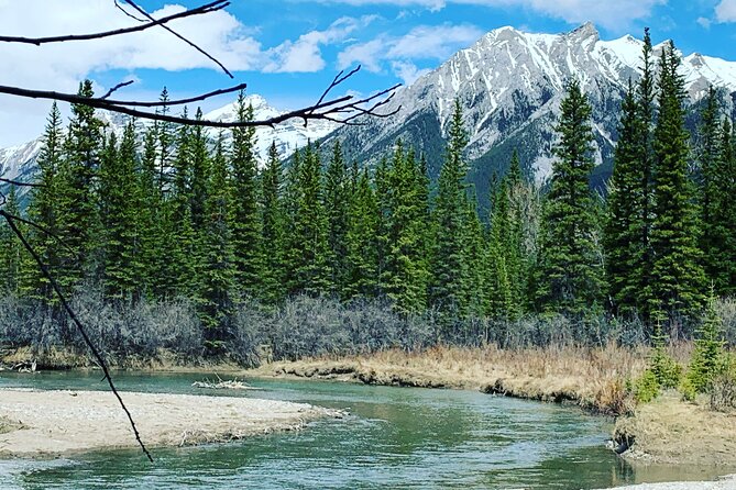 Private Tour: Experience the Canadian Rocky Mountains - Health and Safety