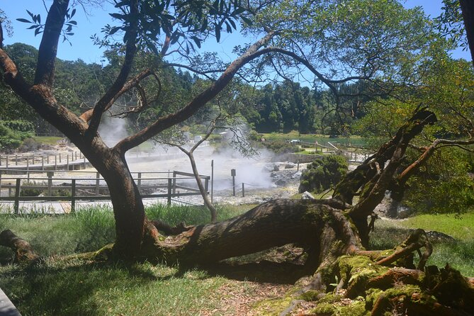 Private Tour Full-Day Furnas: Lake, Fumaroles and Thermal Pools - Pricing and Cancellation Policy