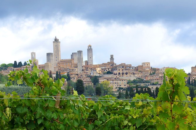 Private Tour: Guided Hike in Tuscany With Transport From Siena - Reviews and Experience