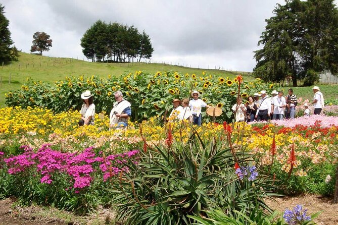 Private Tour Heart Fair Flowers + Adventure Park + Flower Farm - Exploring Heart Fair Flowers